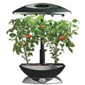 Hydroponic gardening