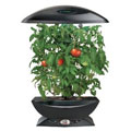 Save up to 40% on gardening