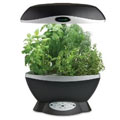 Shop for garden gifts