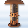 Backyard Birding, Birdbaths, Birdhouses, Bird Feeders