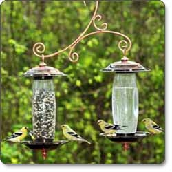 Birdscapes Garden Sip & Seed Feeder In-use Shot