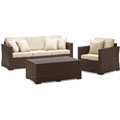 Griffen Wicker Collection