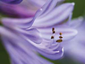 Take beautiful images like this