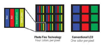Four Color
