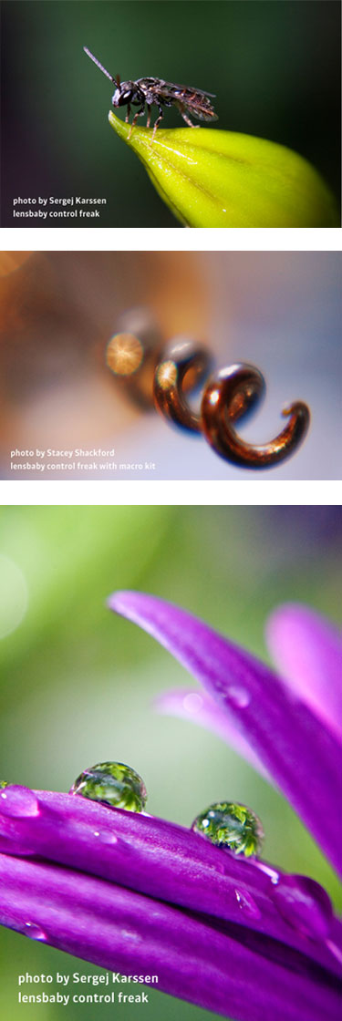 Lensbaby Control Freak on Amazon.com