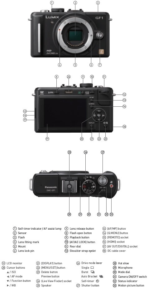 Panasonic GF1 highlights