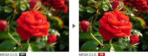 MEGA O.I.S.