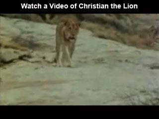 Click to watch this video