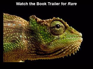 Click to watch this video