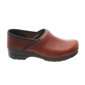 Dansko clogs