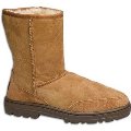 UGG Women's Ultra Short