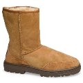 Women's Ultimate Short UGG Boots