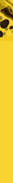 Microsoft Expression