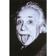 einstein inspirational posters