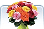 Fresh Flowers & Plants