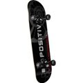 Positiv Andy Macdonald Complete Skateboards