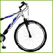 Cycling