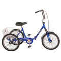 Westport Adult 3-Wheel Bike