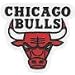 Chicago Bulls Fan Shop