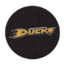 Anaheim Mighty Ducks