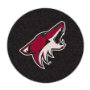 Phoenix Coyotes