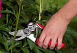 Shop Toro gardening tools