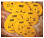 DEWALT DW7296PT 12-Inch 96-Tooth Crosscutting Circular Saw Blade