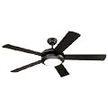 Indoor Ceiling Fans
