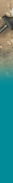 Makita Industrial Tools