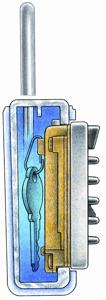 cutaway view