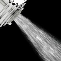 FloWise hand shower turbine spray