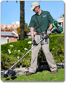 LEHR ST025DS Propane-Powered Eco Trimmer with Detachable Straight Shaft