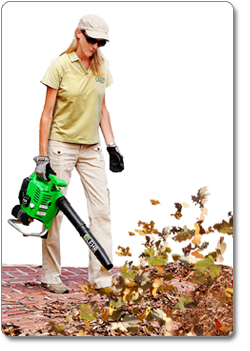 LEHR BV025HHPropane-Powered Eco BlowerVac and Mulcher