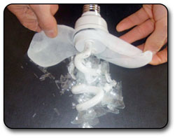 ArmorLite Safety Eco CFLs