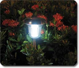 Solar Path Lights Night