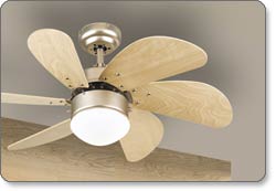 Westinghouse Turbo Swirl 6T30BAD 30inch Brushe