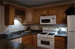 Mr. Beams MB862 Under-Cabinet Light