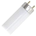 Fluorescent Tube Lights