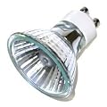 Halogen Light Bulbs