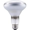 Incandescent Light Bulbs