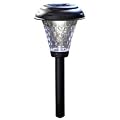 Landscape Lighting