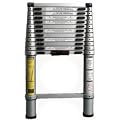 Telescoping Ladders