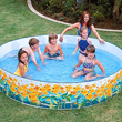 Sun Fish Snapset Pool