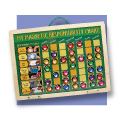 Magnetic Activities