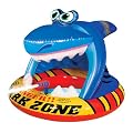 Water Toys and Sprinklers