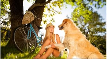 Insert Alt Text here