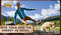 Insert Alt Text here