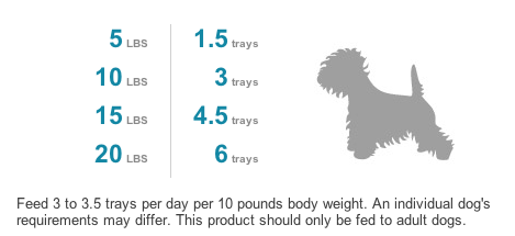 Insert Alt Text here