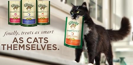 Insert Alt Text here