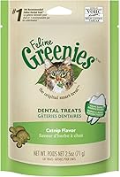 Insert Alt Text here